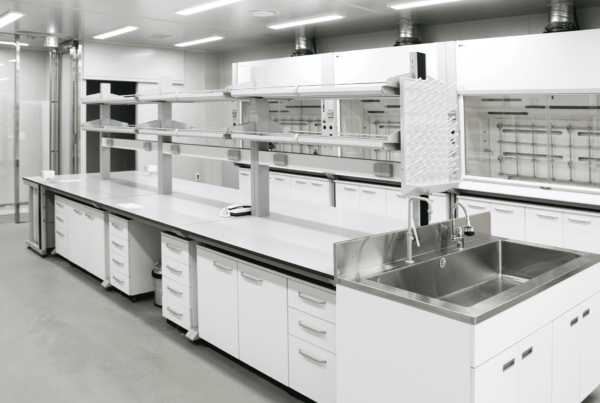 Montajes Delsaz, refuerza su gama de productos y servicios con la incorporación de una nueva línea de mobiliario clínico y de laboratorio. El desarrollo de la misma, sumado al resto de soluciones en equipamiento y mobiliario clean room que fabricamos, nos permite ampliar nuestro rango de producción y proporcionar un mayor servicio a los clientes. Nuestra gama de producto incluye gran variedad de acabados: mobiliario metálico, en acero inoxidable, resina fenólica, aluminio; accesorios de laboratorio, almacenamiento de seguridad y equipos como vitrinas de gases, cabinas de flujo laminar, cabinas de bioseguridad, de filtración… Todo ello diseñado y fabricado con materiales de primera calidad de acuerdo a las exigencias de nuestros sectores de aplicación: hospitalario, farmacéutico, químico, centros de investigación, docencia, entre otros. Para potenciar esta nueva línea de mobiliario unimos fuerzas con dos empresas de gran prestigio en el ámbito del mobiliario clínico y de laboratorio Esymar y CHC LAB International. Tras años de experiencia en el sector, siempre hemos buscado ir de la mano de partners que nos aporten un mayor valor y conocimiento y gracias a esta alianza estratégica podremos ofrecer a nuestros clientes un servicio más global, personalizado y de máxima calidad. Conoce más sobre nuestra gama de mobiliario y equipamiento